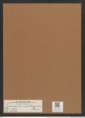 Triceratium nankoorense Grun. (de-Toni-Nr.: Genus 140, Species 3883) Zeichnungen Sammlung Grunow Mappe 03918 (Herbarium_W_Grunow_drawings_Folder_03918)